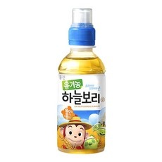 할인정보 보고 샀어요, 정말 잘 샀어요. 코코몽하늘보리 추천 정보 TOP 9