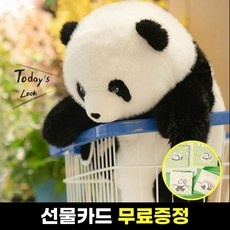 리뷰 보고 샀는데 정말 좋네요, 만족해요. 푸바오패키지 추천 정보 리스트 5 리뷰 보고 샀는데 정말 좋네요, 만족해요. 푸바오패키지 추천 정보 리스트 5