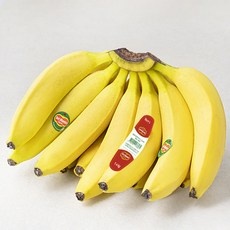 잘 샀어요, 후회 없어요. 프레쉬 추천 제품 리스트 9
