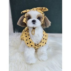 신상품이라 기대했는데 정말 좋네요. 허그미펫아트 최저가 정보 상위 9