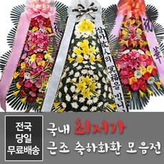 지금 당장 봐야할 화환근조화환축하화환개업화분결혼결혼식장례장례식조화배달전국꽃배달서비스 할인 상품 TOP 9