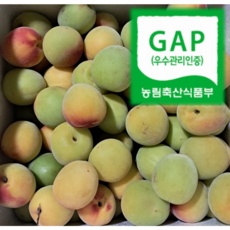 ◀ 2024년 너무 갖고싶은 가성비템▶ 황매실 추천 정보 상위 9