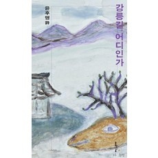 가성비 강릉어린이서핑 추천 아이템 베스트 9