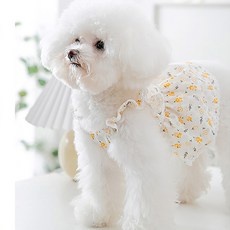 지금 당장 필요했던 아이템이에요. 강아지원피스 추천 상품 TOP 9