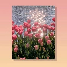 최고의 선택 유화그리기세트 할인 제품 탑 9