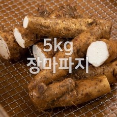 ◀ 2024년 실사용 가성비가 너무 좋아요▶ 장꼬마마 최저가 정보 TOP 9