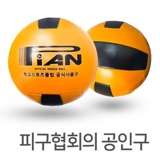 할인정보 정식피구공 추천 제품 상위 9