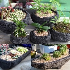 강력 추천합니다, 후회 없어요. 화산석화분 할인 아이템 BEST 9