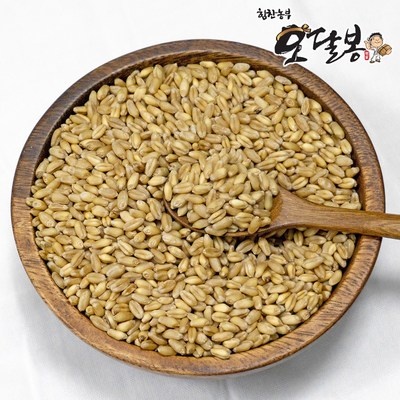 품질이 정말 좋아요, 감동입니다. 밀 최저가 상품 TOP 5 품질이 정말 좋아요, 감동입니다. 밀 최저가 상품 TOP 5