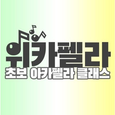 SNS 인기템이에요, 정말 좋아요. 위카펠라 인기 아이템 상위 5