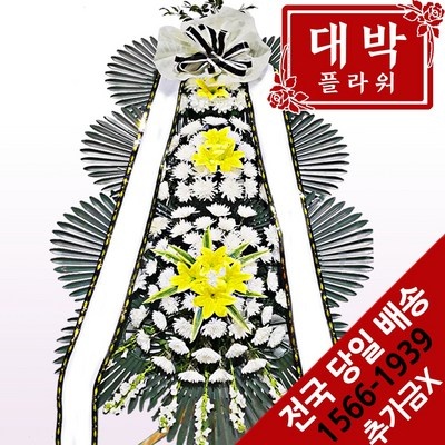 후회하지 않을 선택, 정말 잘 샀어요. 화환배달 할인 정보 탑 5