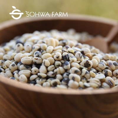 실사용 후기입니다, 정말 좋아요. 거피팥가루 할인 정보 리스트 7 실사용 후기입니다, 정말 좋아요. 거피팥가루 할인 정보 리스트 7