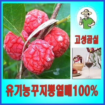 최저가 고지베리톡 인기 정보 베스트 6