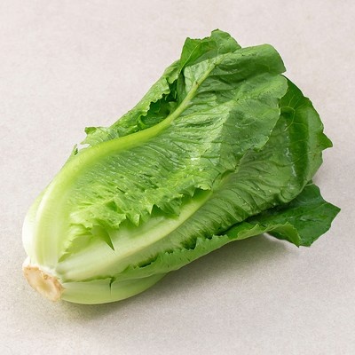 강추합니다, 정말 좋아요. 모치코 최저가 제품 TOP 5 강추합니다, 정말 좋아요. 모치코 최저가 제품 TOP 5