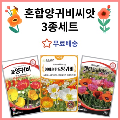 지금 당장 봐야할 양귀비씨 최저가 정보 BEST 9
