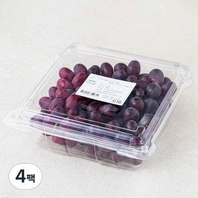 할인정보 가평포도 인기 상품 리스트 7