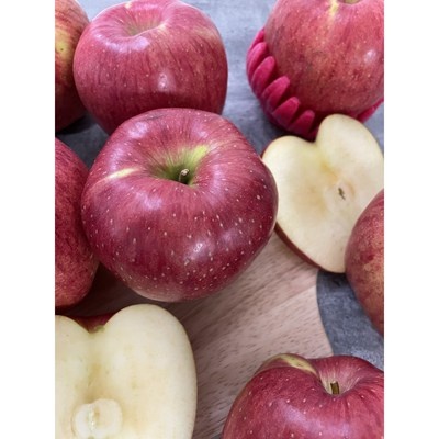 가성비가 너무 좋아요, 정말 만족해요. 거창한사과 할인 상품 TOP 6