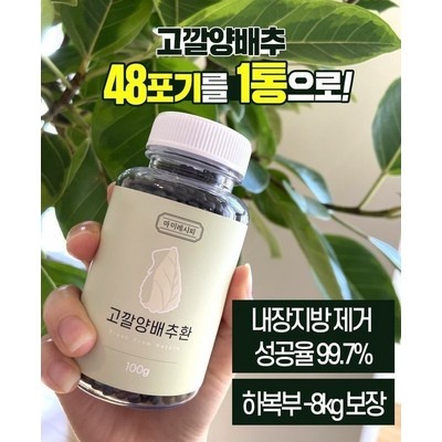 내돈내산 후기입니다, 정말 만족해요. 고깔양배추환 할인 상품 TOP 7