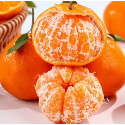 내돈내산 후기 강추, 후회 없어요. 과일즙공박스 추천 아이템 상위 9