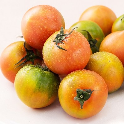 ◀ 2025년 후기를 보니 더 맘에 들어요▶ 굿파머스토마토 추천 상품 BEST 7