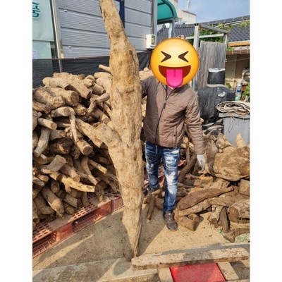 인플루언서들이 추천하더라구요, 믿고 샀어요. 농협칡즙 인기 아이템 베스트 9