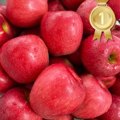 상품후기 대박, 정말 좋아요. 무진장맛있는토마토즙 추천 제품 상위 9