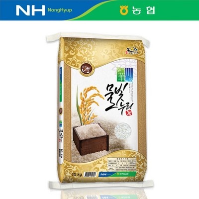 이건 필수품이에요, 정말 좋아요. 물빛누리 추천 제품 베스트 3