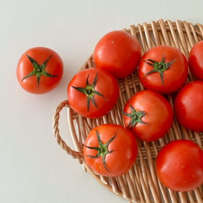 세일 바구스토마토 할인 상품 TOP 3