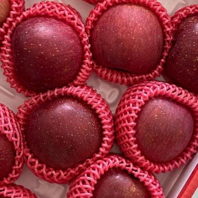 고민하다가 샀는데 정말 잘한 선택이에요. 백설공주가사랑한문경사과 최저가 상품 베스트 7