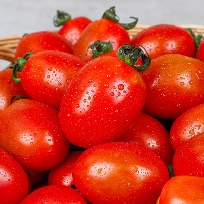 가성비가 너무 좋아요, 정말 만족해요. 산지직송100진한토마토즙 최저가 아이템 BEST 7