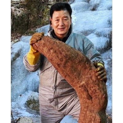 내돈내산 후기 강추, 후회 없어요. 샘물웰빙칡즙 인기 제품 상위 8