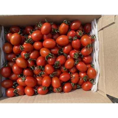 친구 3명이 추천한 성심건강원갈아만든대추방울토마토 할인 상품 상위 5