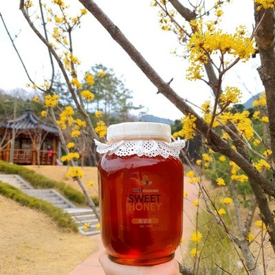 최저가여서 주저 없이 구매했어요. 스위트허니 할인 정보 BEST 10