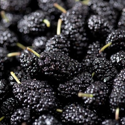 만족스럽습니다, 정말 잘 샀어요. 아로니아4kg 최저가 제품 BEST 7