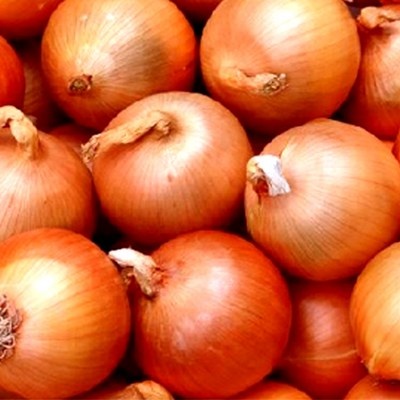 ◀ 2025년 실사용 인플들이 추천하는▶ 양파 최저가 정보 베스트 8