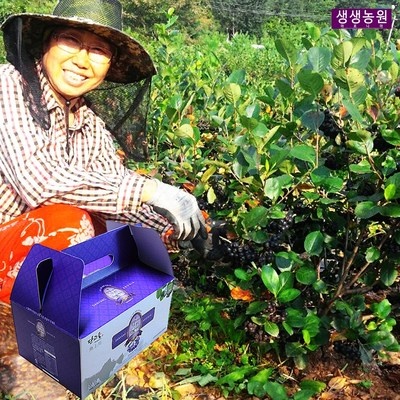 최고예요, 다시 사고 싶어요. 어상천아로니아 할인 제품 TOP 7