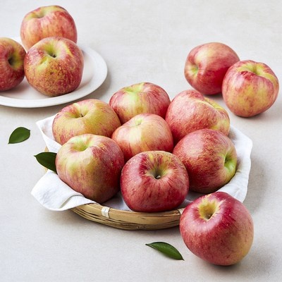 지금 당장 봐야할 영주좋은농부들 할인 아이템 상위 5