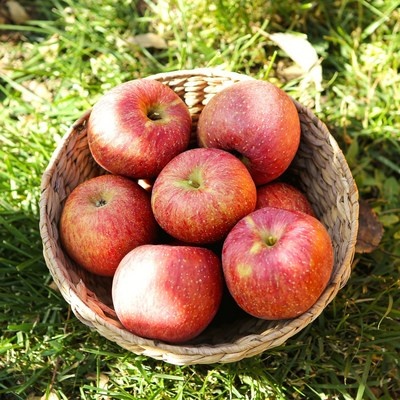 구매하길 잘했어요, 정말 만족해요. 용서리 할인 상품 베스트 10