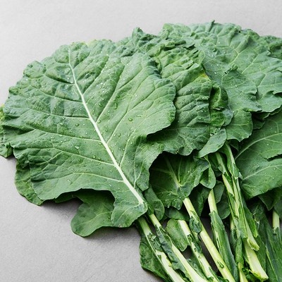 Must Have Item, 정말 필요했어요. 유기농사과레드비트당근주스 추천 상품 상위 10