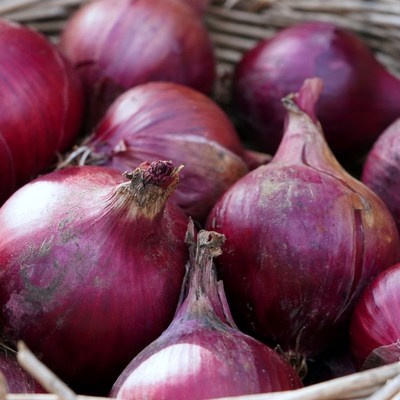 가격 대비 성능 최고예요. 자색양파 인기 아이템 베스트 7