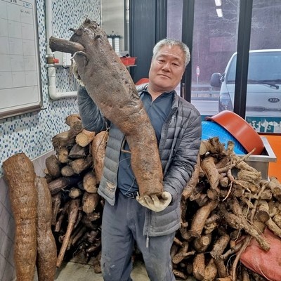 경제적으로도 이만한 제품이 없어요. 자연나라칡즙 최저가 상품 BEST 10