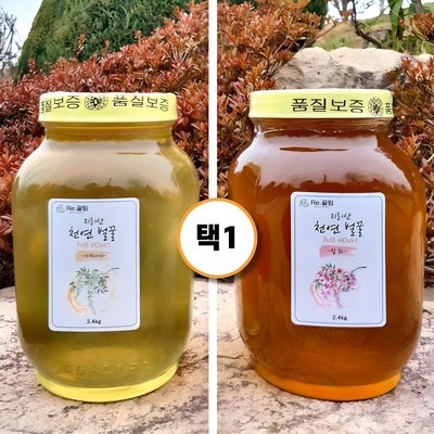 이건 꼭 사야해요, 후회 없어요. 자연산벌꿀 할인 제품 TOP 10