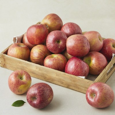 만족해요, 정말 잘 샀어요. 제주뜰에비트즙 인기 제품 탑 5