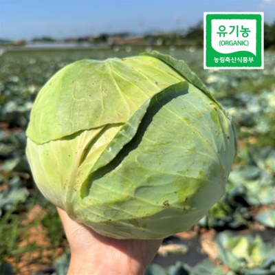 고민하다가 샀는데 정말 잘한 선택이에요. 제주오가닉스제주유기농비트즙 최저가 아이템 베스트 6