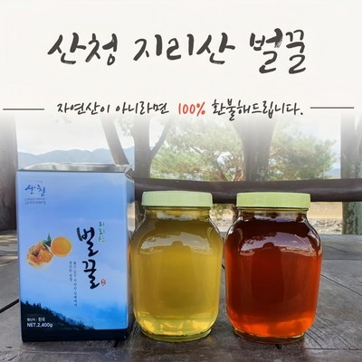 지금 당장 봐야할 천연꿀 인기 정보 TOP 5