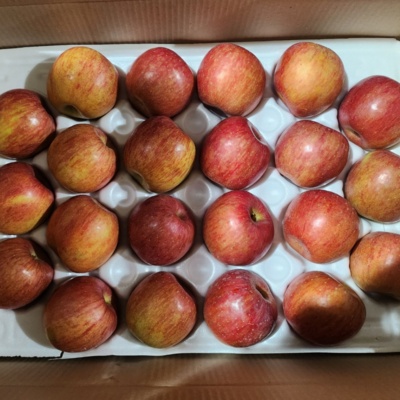 ◀ 2025년 실사용 가성비가 너무 좋아요▶ 청송애플농원 할인 상품 베스트 5