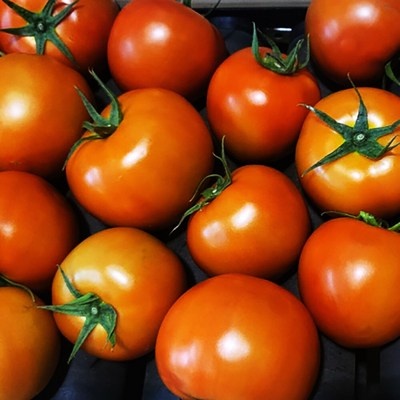 이건 정말 대박템, 감동이에요. 토마토는이길호다 추천 아이템 상위 7