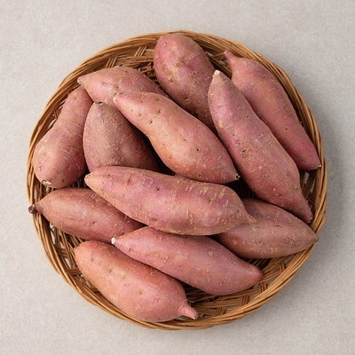 ◀ 2025년 실사용 상품후기 대박▶ 하루양배추 할인 제품 TOP 10