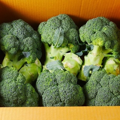 혜자템이에요, 만족스러워요. 호박즙포장박스 최저가 제품 BEST 6