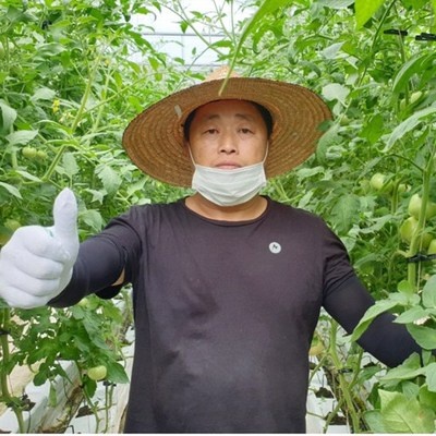 최고의 선택이었어요, 후회 없어요. 횡성다다갈아만든생토마토즙 최저가 상품 BEST 6